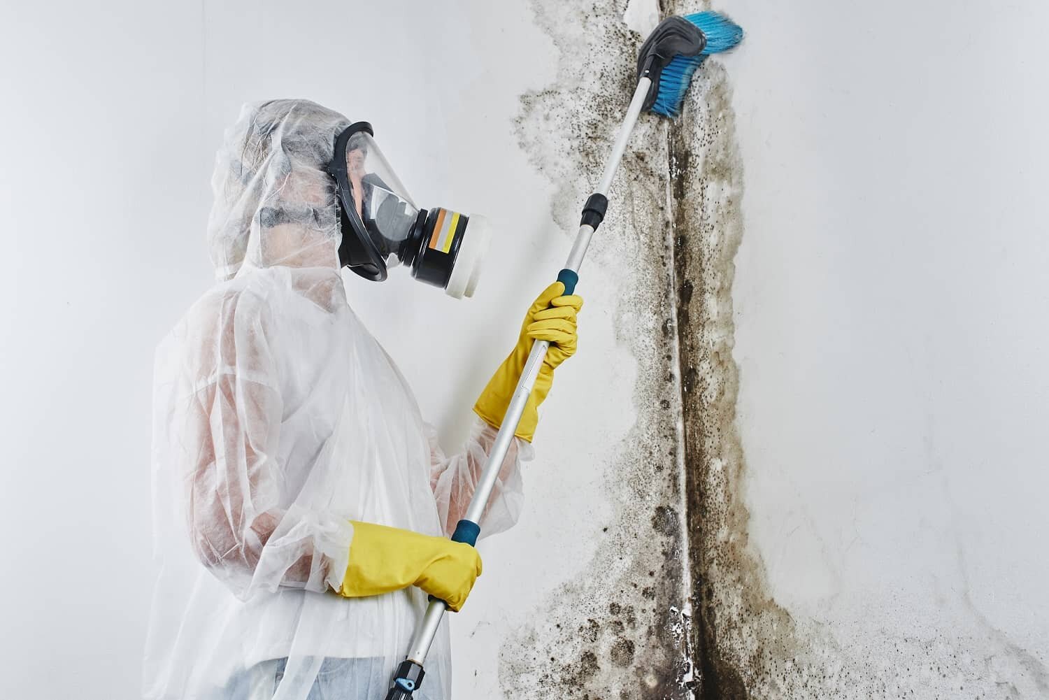 mold-remediation-in-a-house