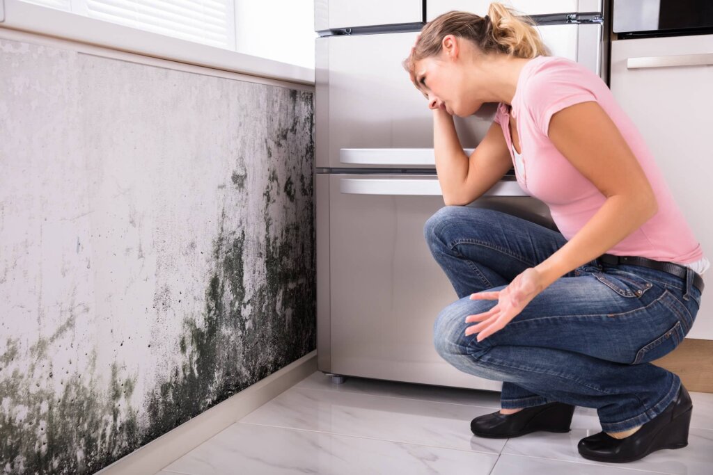 found-mold-in-house-im-selling