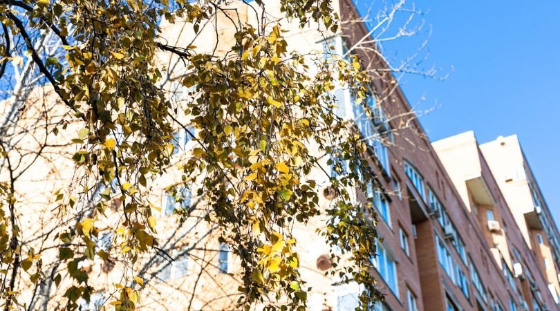 Can I Sell My San Antonio Rental Property With Tenants In Place
