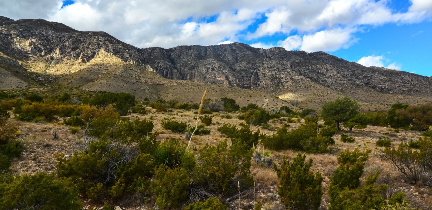 We Buy Land For Cash In San Antonio, Texas