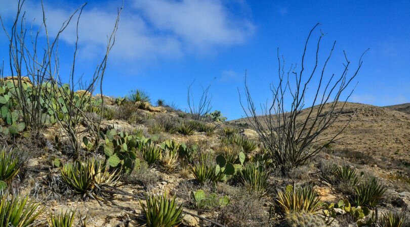 We buy inherited land in San Antonio for cash