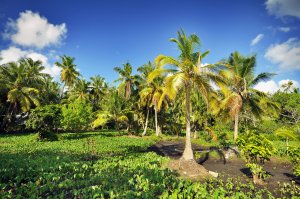 buy real estate notes in Florida