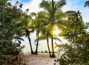 Florida Beach Scene