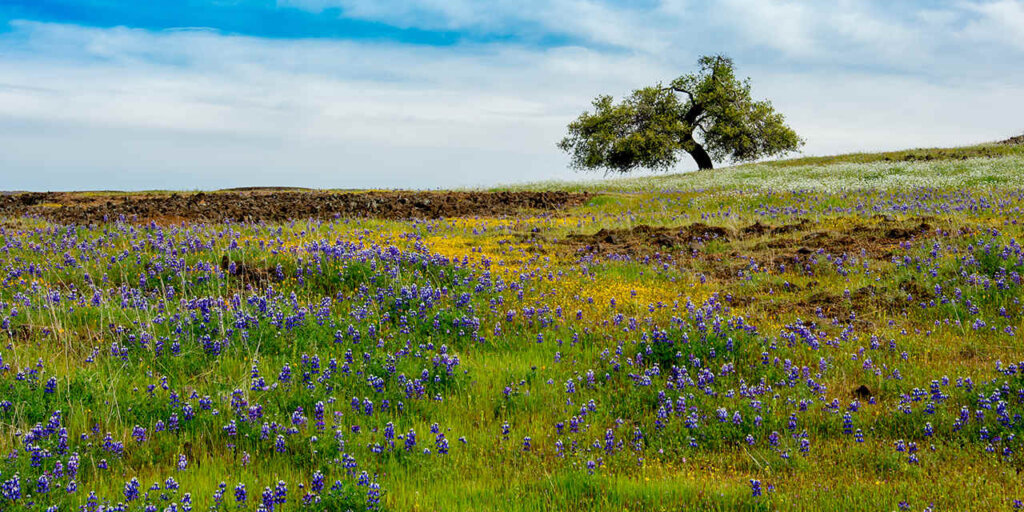 Butte County