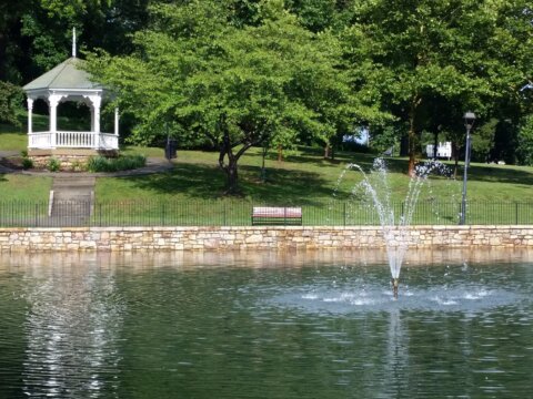 Town Duck Pond, Salem VA