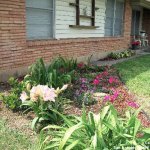 Add color with flowers