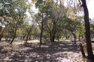 Floresville TX estates of eagle creek 