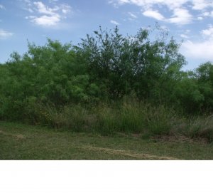 lot for sale in Floresville Tx