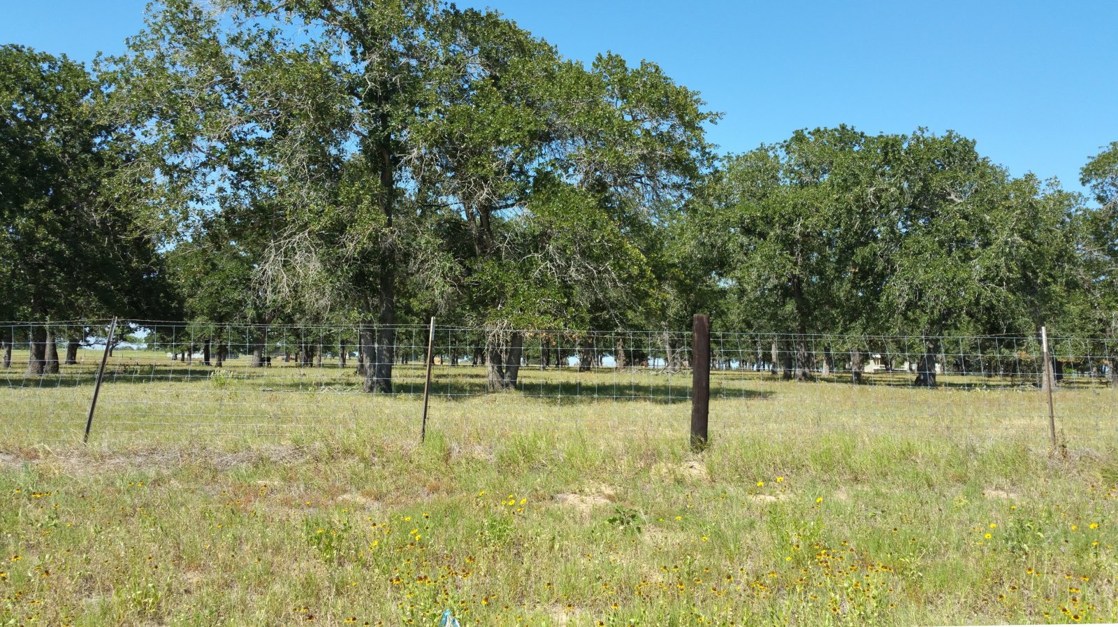 What To Watch Out For When Buying Land In Floresville
