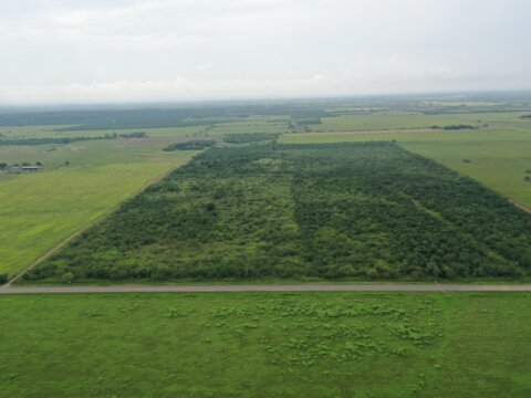 FM 1347 View of the 86.76 acres Stockdale TX