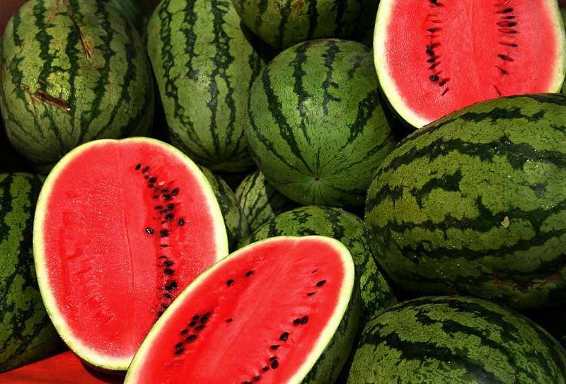 Watermelon-Thump -stockdale-tx