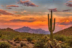 Find Off Market Real Estate properties in Arizona