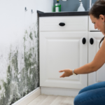 How to sell house with mold issues Massachusetts