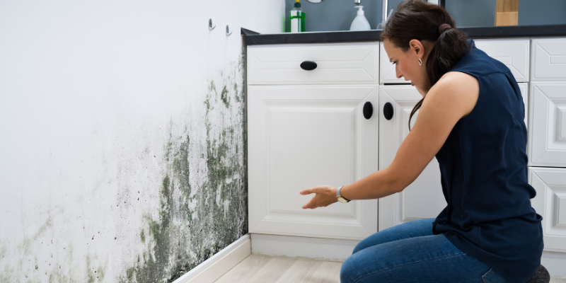 How to sell house with mold issues [market_city]