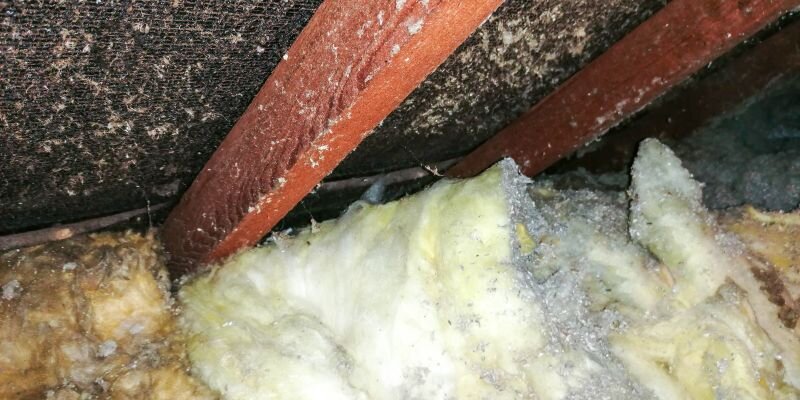 Understanding Massachusetts Disclosure Requirements for Asbestos