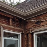 How to Sell a House with Termite Damage in Omaha