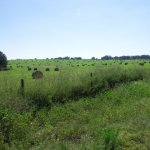 Tips For Selling Your Vacant Land In Omaha