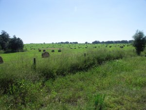 Tips For Selling Your Vacant Land In Omaha