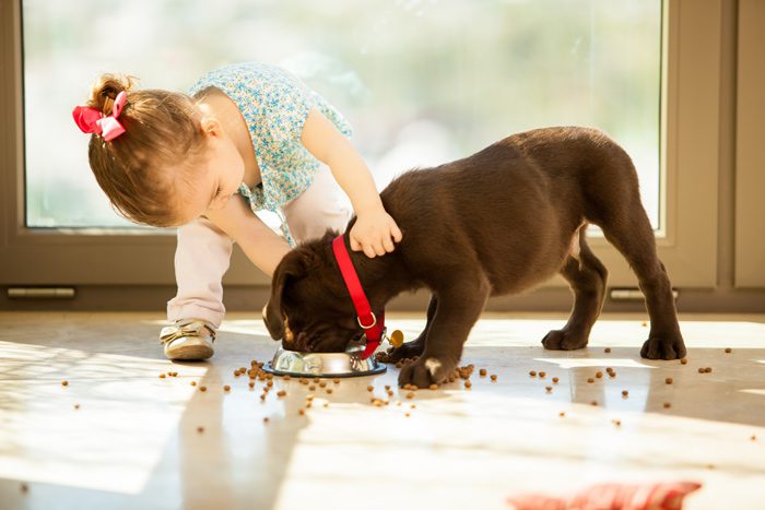 Selling Your House in Omaha or Council Bluffs When You Have Kids and/or Pets
