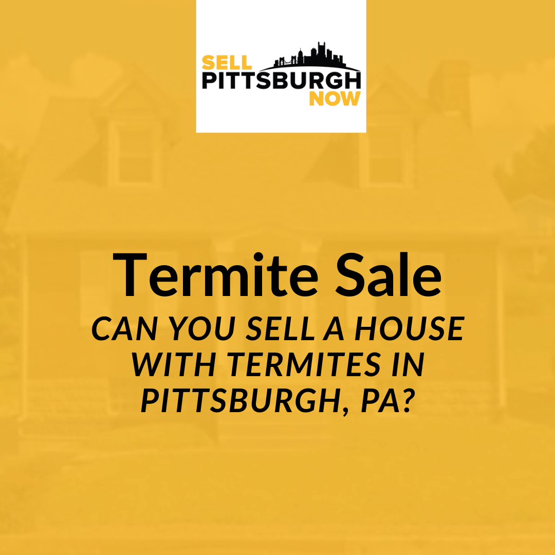 Can You Sell a House With Termites in Pittsburgh, PA