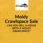Can You Sell a House With a Moldy Crawlspace