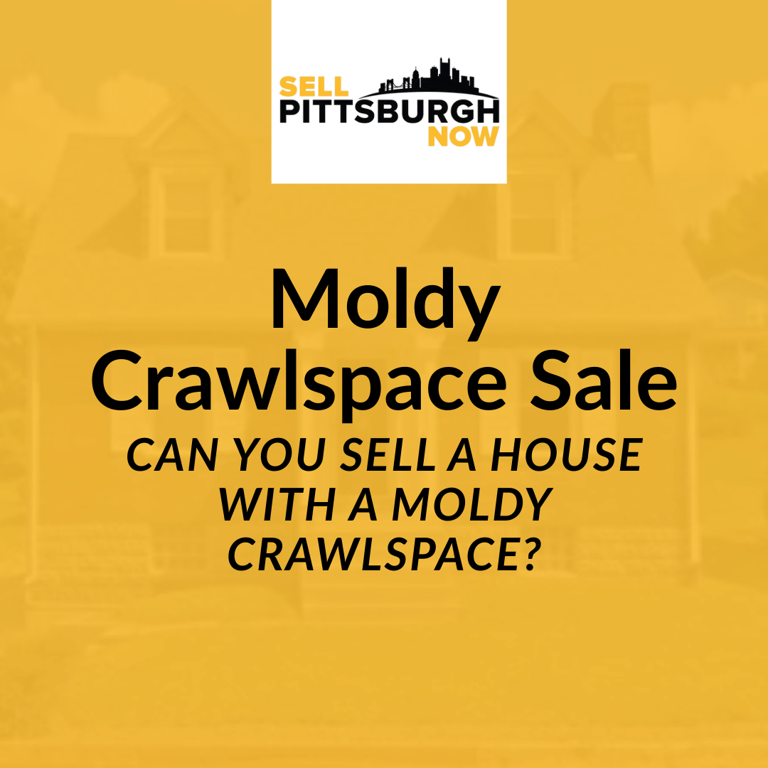 Can You Sell a House With a Moldy Crawlspace