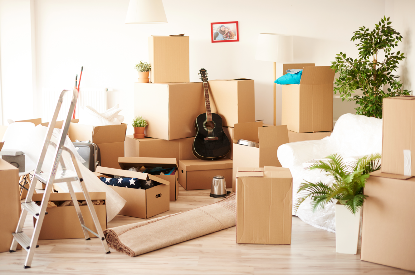 4 Reasons Why Selling a Hoarder House is So Hard Henry Buys Houses