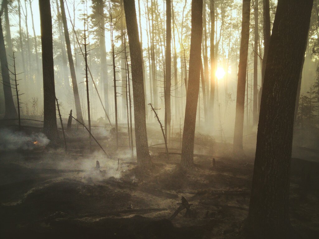 sell my fire-damaged house florida