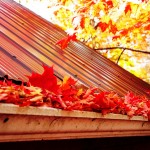 Home Maintenance Tasks You Should Complete this Fall | fall leaves in gutter