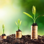 Investment Growth | plants growing from coins