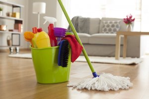 professional cleaning products after cleaning a hoarder house