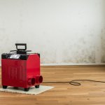 Cleaning with a dehumidifier