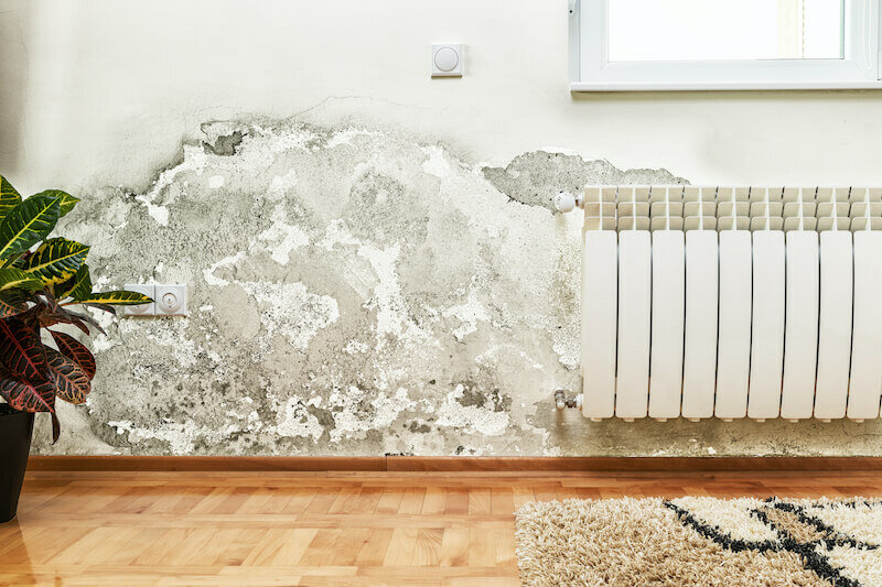 House with damp damage for sale as-is