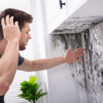 Can I Sell a House with Mold?