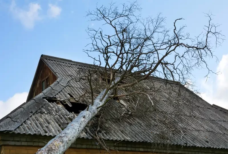Get Help Selling a House with Storm Damage With This Guide