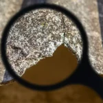 Do Home Inspections Check for Asbestos Usually Not, But...