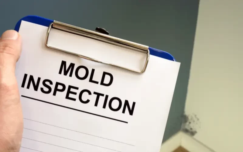How Much Does a Mold Inspection Cost in Wisconsin in 2025