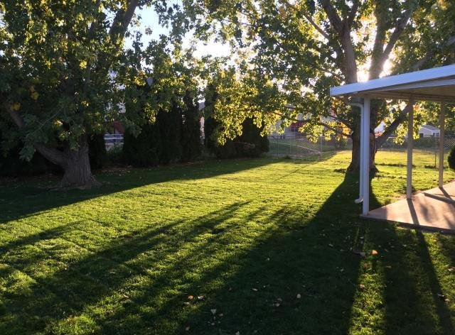 Backyard of a rent to own home in Clinton Utah