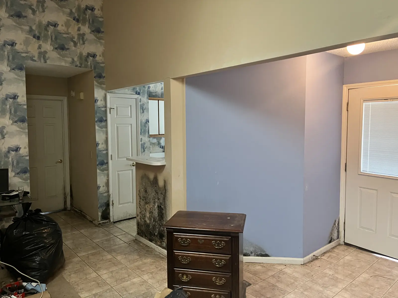 Flood- and mold-damaged living area before renovation in Wilmington