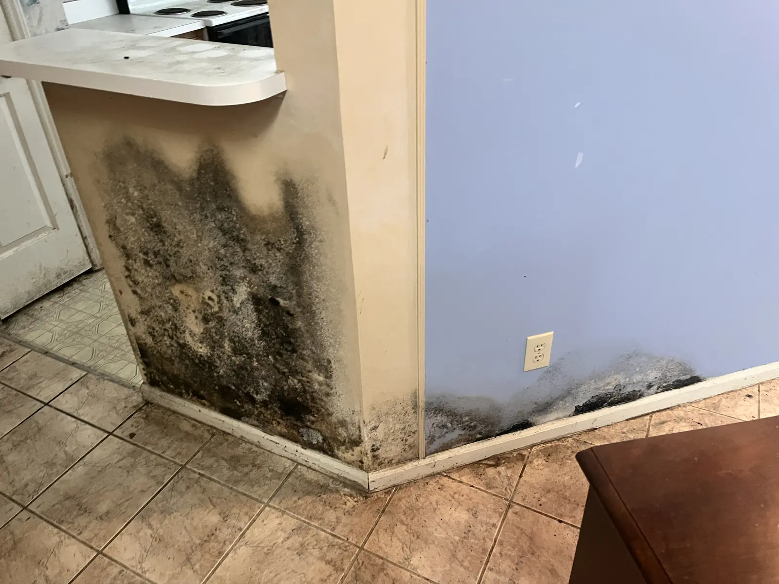 Extensive visible mold caused by a burst water line in a Wilmington house