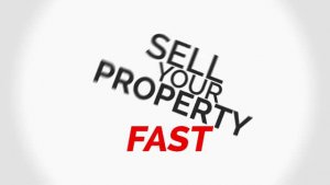 Highest Prices Paid