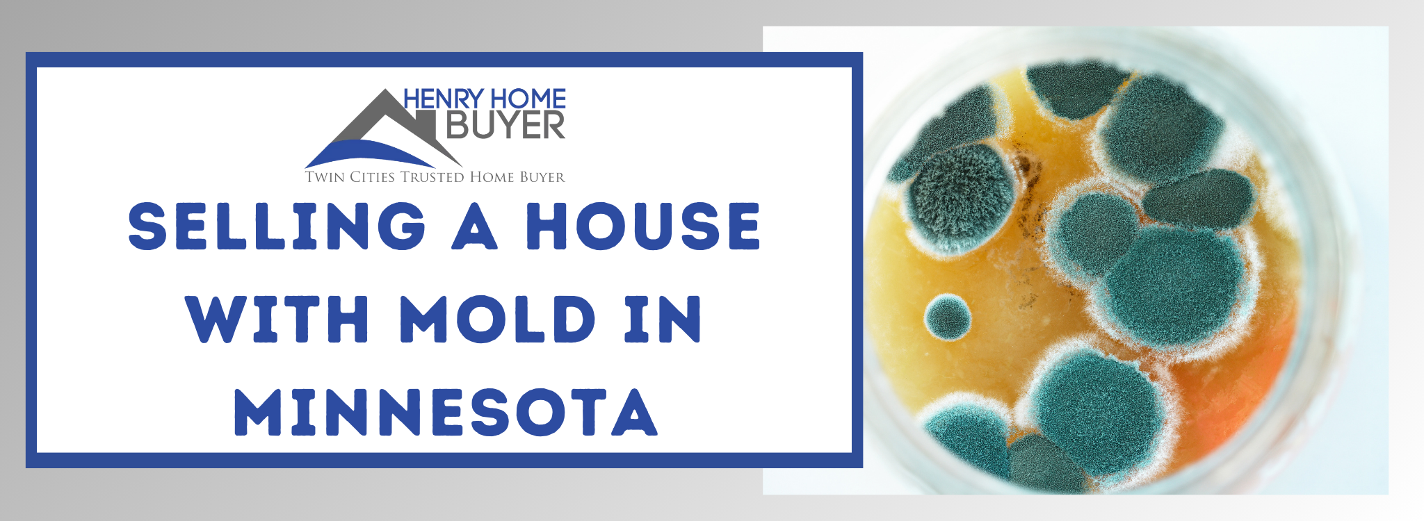 Sell Your Houses Fast With Mold in Minnesota