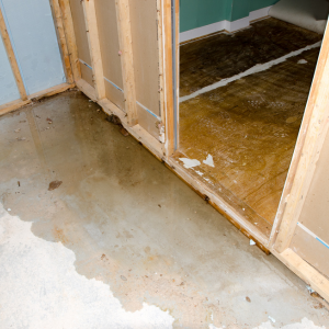 Selling a House with Water Damage In Minneapolis