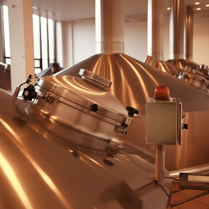 Quick Facts Saint Paul