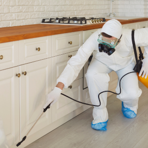 How to Navigate Selling a Termite-Damaged Home In Minneapolis