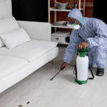 How to Successfully Sell a Termite-Infested House In Minneapolis