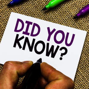 Quick Facts Plymouth 