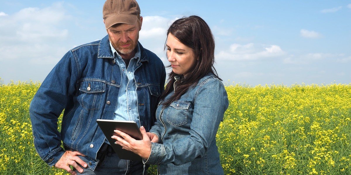 Sell Your House During Divorce