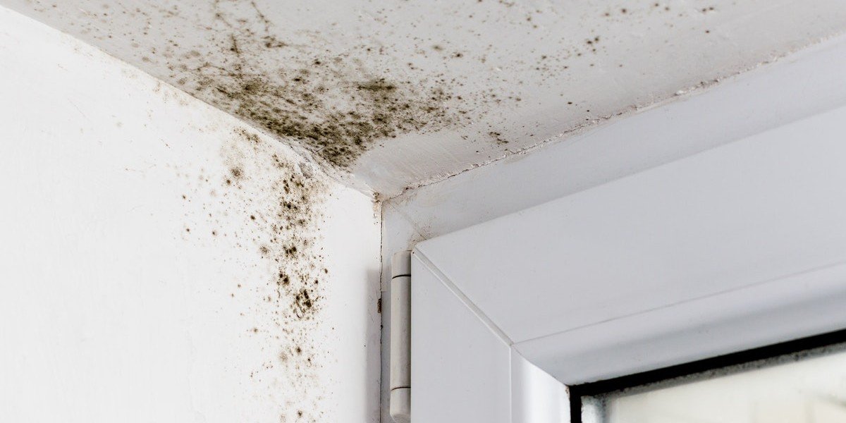 Sell A House With Mold
