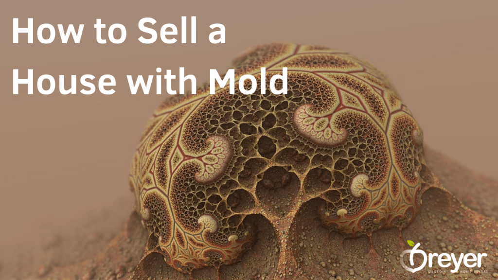 How To Sell A House With Mold in Atlanta